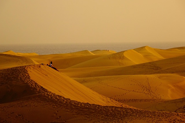 Ancient ruins in a desert landscape at dusk